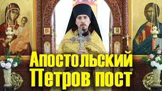 Святой Апостольский Петров пост, проповедь 01.07.2020