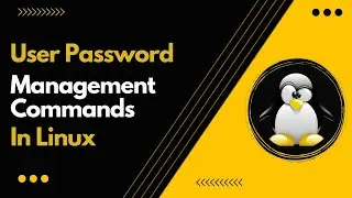 User Management Commands In Linux | Working With Users | BSCIT Linux Practical 4 Part 1 | Useradd |