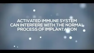 How Autoimmunity Interferes with the Embryo Implantation Process