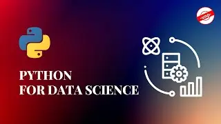 Identity & Membership Operators, and type() Function in Python