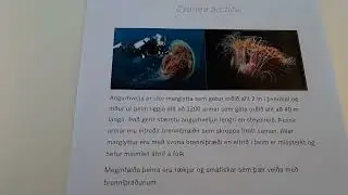 Furðudýr vikunnar - Angurhvelja