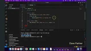 Go lang tutorial - 5 - switch and select statements