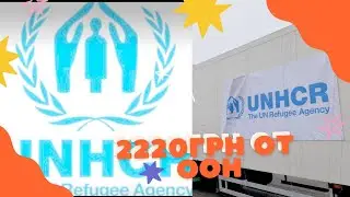 2220 от ООН ( помощь для ВПО)