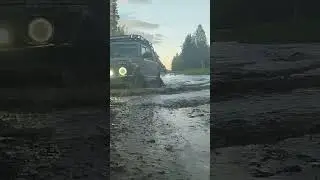 На нивах