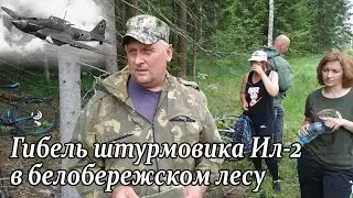 Крушение штурмовика Ил-2 в лесу Белых Берегов в 1943г.