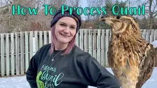 How To Process Quail | Butchering Quail
