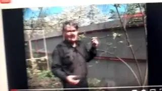 Советы бывалых садоводов.
