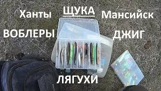 Рыбалка на малых реках. Ловля щуки летом