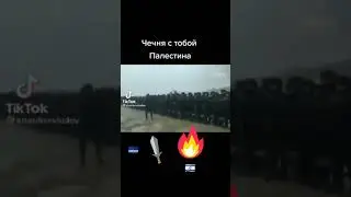 Обращение Чеченца к Палистине