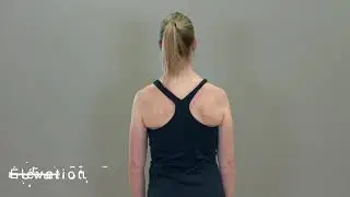 Mobilité - Mobilité scapulaire