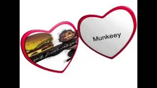 munkeey