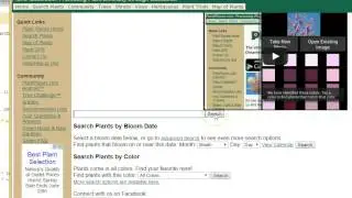 Showing SQLite data in an AutoCompleteTextView in Android studio