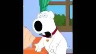 se!