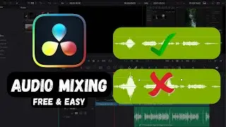 How to Get the PERECT AUDIO in DaVinci Resolve 18 | Dynamic Range