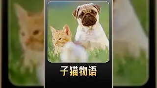 小貓與狗狗的其妙之旅，一起笑著走過電影世界 #电影 #电影解说 #影视 #影视解说 #剧情