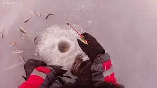 Астраханская рыбалка на кривантии