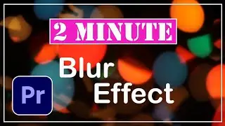 How to Add Blur Effect In Premiere Pro | The Editor