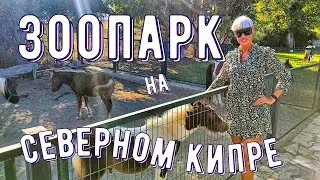Зоопарк на Северном Кипре 
