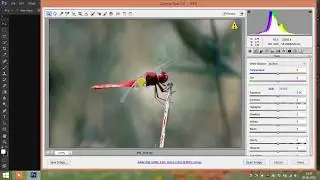 How to Enable Camera Raw Setting in Photoshop