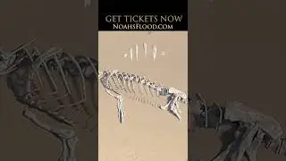 The Ark and the Darkness Movie Promo 8  #dinosaur #bible #genesis #noahsark