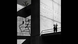Syzic - Identity Envy