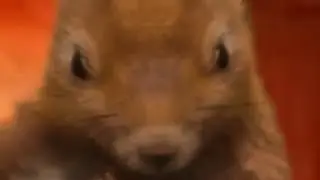 infinite realm of incomprehensible suffering