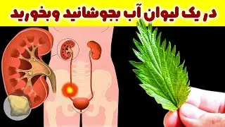 چگونه یک قاشق گزنه بدن رو تازه میکنه .. نحوه مصرف چگونه است؟