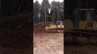 31 августа 2024 г.