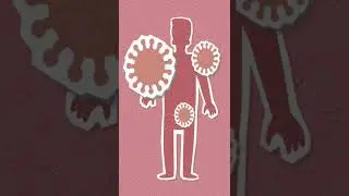 Самые опасные острова ⚠️🏝️ ч.3 | #shorts #факты #история