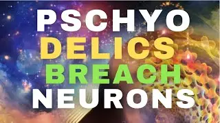 How Psychedelics Affect Neurons in Our Brain Cells in ways that other drugs can not