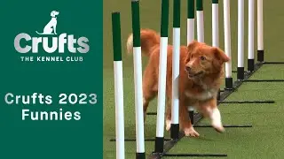 Funnies from Crufts 2023