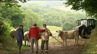 LES HOLLANDAIS DANS LE MORVAN