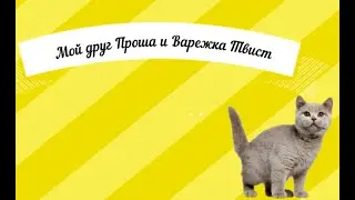 Мой друг Проша и варежка 