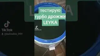 Tурбо дрожжи LEYKA. #самогон #алкоголь #рецепт #напиток #дрожжи #тест