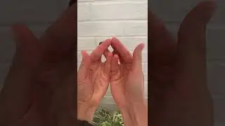 Страус из пальцев