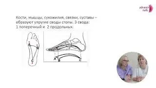 Вводная лекция по педикюру 1 часть