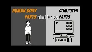 Computer parts compared to Human Body | Connecting parts of the computer to parts of human body