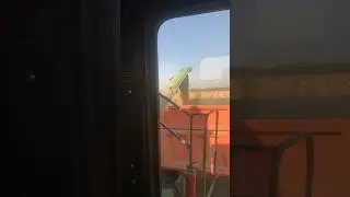 Утро 