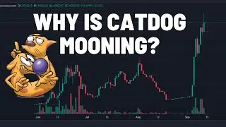 Why is CatDog Mooning? 