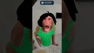 БИМ БАМ БОМ 💥 #schoolboy #monkey #omegaland #прикол #юмор #тренд #roblox #games #rek #а4 #тикток