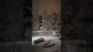 1 ноября 2024 г.