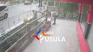 Şanlıurfa Karaköprü'de Çiftin Çiçek Hırsızlığı Kameralara Takıldı / Urfa Pusula