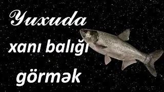 Yuxuda xanı balığı görmək ☾✵ Qısa 