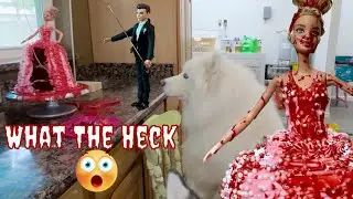 Husky Gets Scared By This Amazing Halloween Cake Inspired By The Scary Movie Carrie #halloween #cake