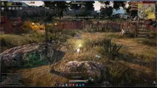 Black Desert Ответы на комментарии предыдущего видео о задротах