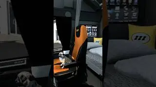 |ETS2 1.50| Interior Addon v1.4.7 