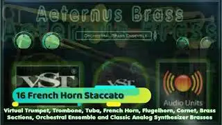 Virtual French Horn Presets from Aeternus Brass Plugin VST VST3 Audio Unit EXS24 KONTAKT