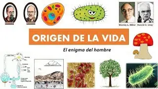 Origen de la vida (Fácil de aprender)