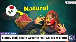 Happy Holi: Make Organic Holi Colors at Home | ISH News