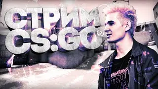 🔴СТРИМ КС🔴УТИНЫЕ ПОДГОРАНИЯ🗡CS:GO🔫